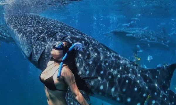 ultimate-philippines-island-explorer